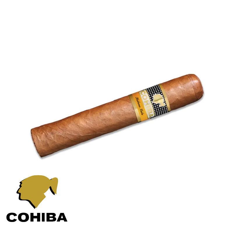 Charuto Cohiba robustos são josé dos campos
