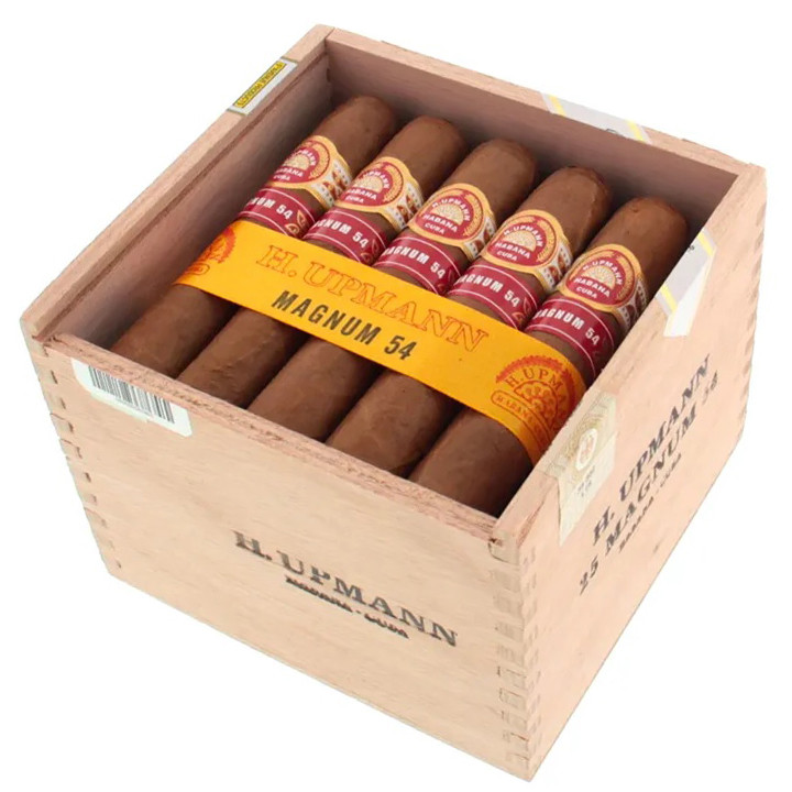 Charuto H. Upmann Magnum 54 são josé dos campos