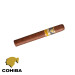 Charuto Cohiba siglo II são josé dos campos